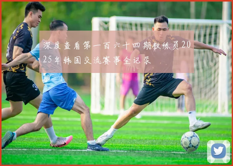 深度查看第一百六十四期教练员2025年韩国交流赛事全记录